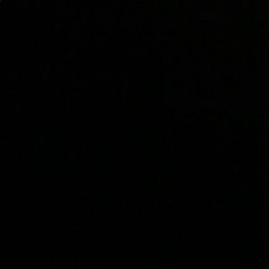 Meet your Posher, Izzy